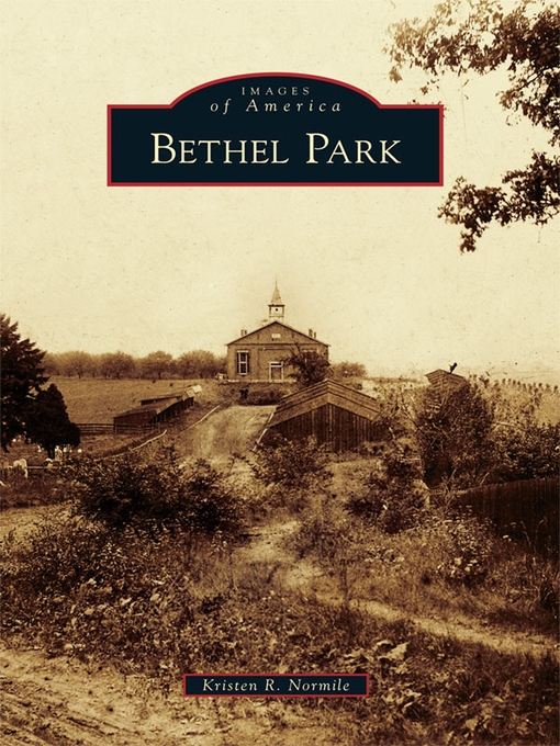 Title details for Bethel Park by Kristen R. Normile - Available
